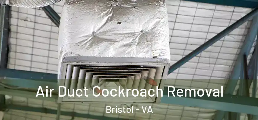  Air Duct Cockroach Removal Bristol - VA