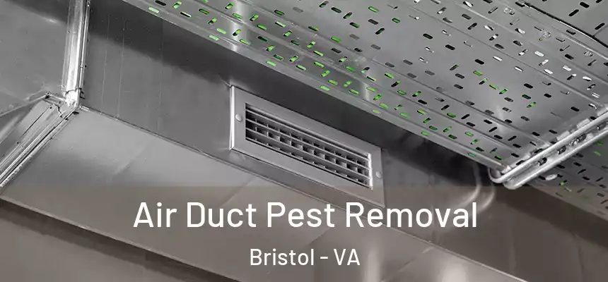  Air Duct Pest Removal Bristol - VA