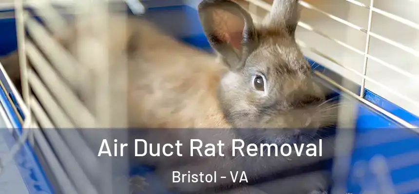  Air Duct Rat Removal Bristol - VA