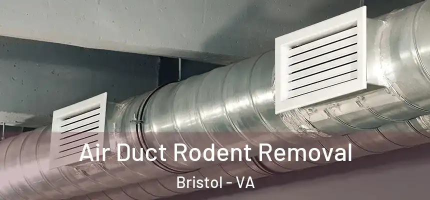 Air Duct Rodent Removal Bristol - VA