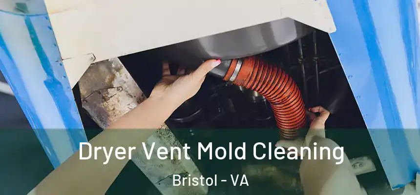 Dryer Vent Mold Cleaning Bristol - VA