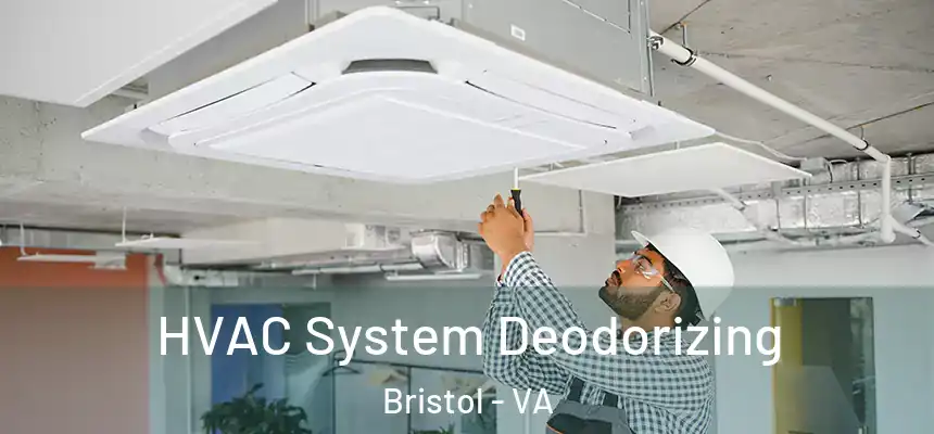 HVAC System Deodorizing Bristol - VA