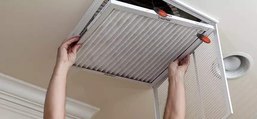Our Insect Removal from Air Ducts Services in Bristol, VA