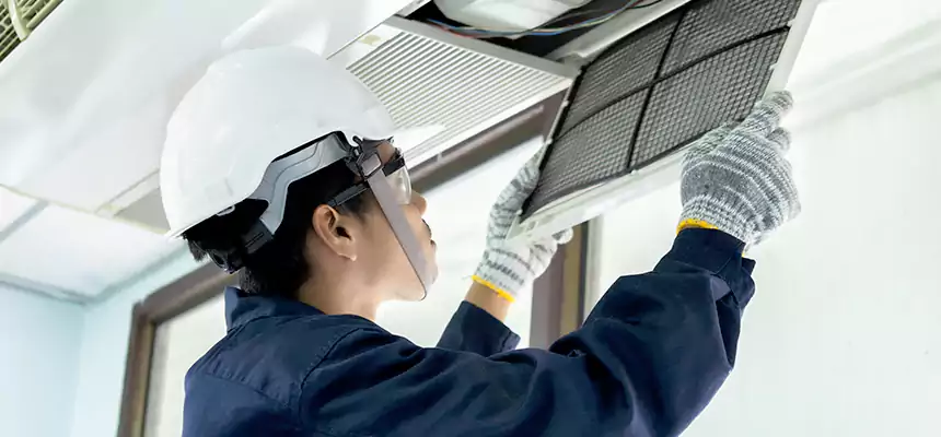 Our Mold & Mildew Removal from Air Ducts Services in Bristol, VA