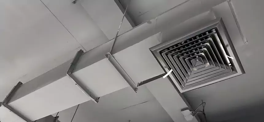 Our Rodent Droppings In Vents Services in Bristol, VA