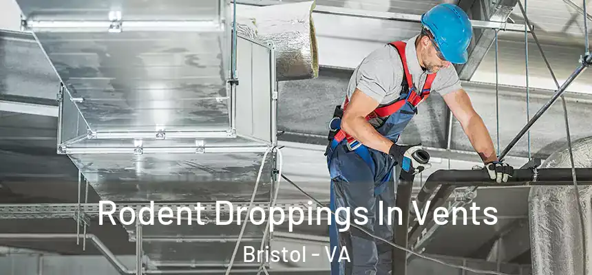  Rodent Droppings In Vents Bristol - VA