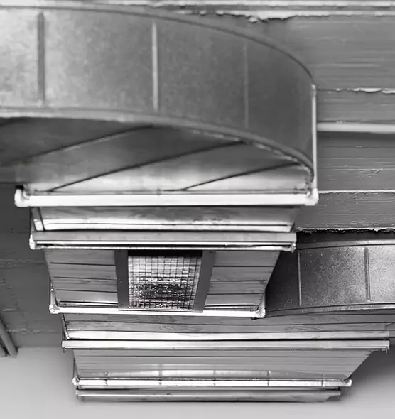 Professional Air Duct Pet Hair Removal in Bristol, VA