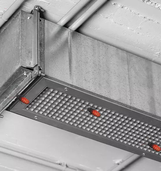 Affordable Insect Removal from Air Ducts in Bristol, VA