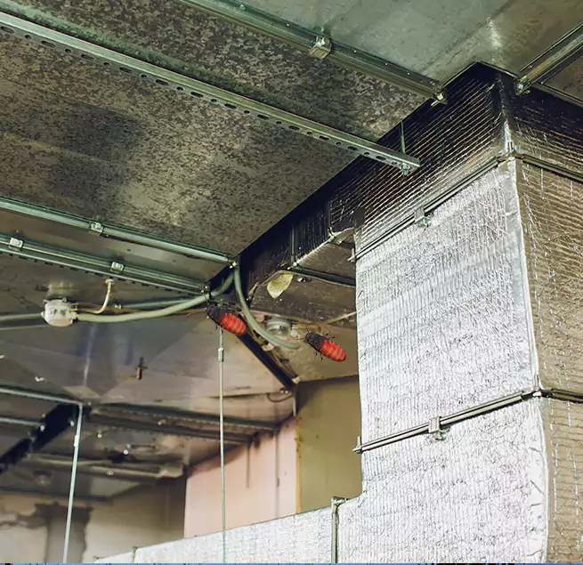 Why Homeowners & Businesses Trust Us Bristol, VA?